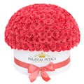 Pink Preserved Roses in White Dome Box