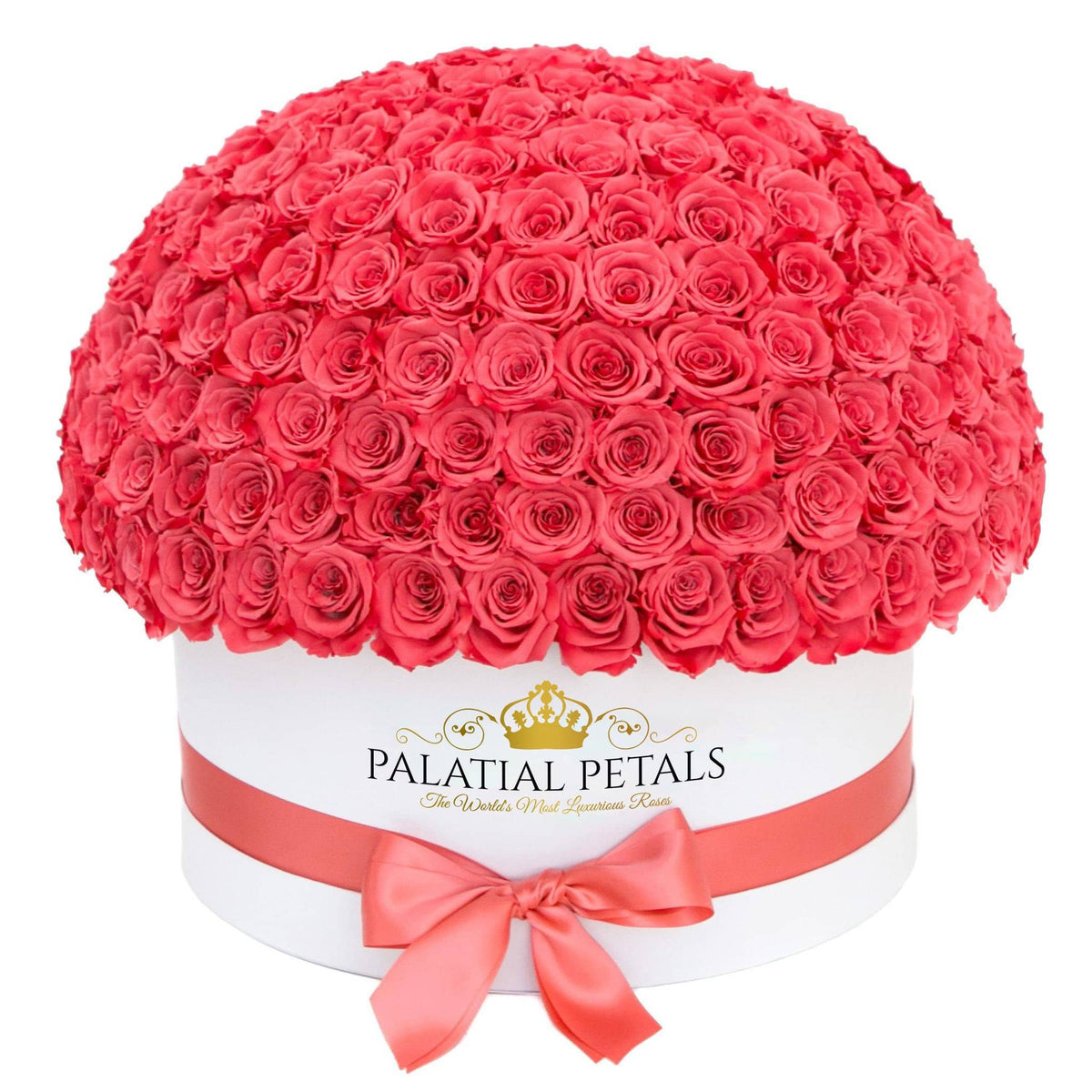 Pink Preserved Roses in White Dome Box