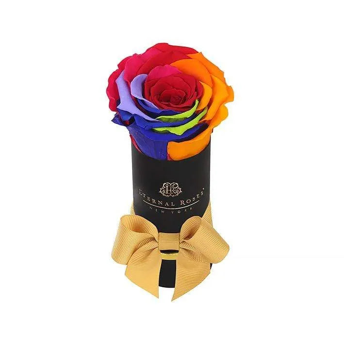Single Black & Rainbow Preserved Rose Gift Box