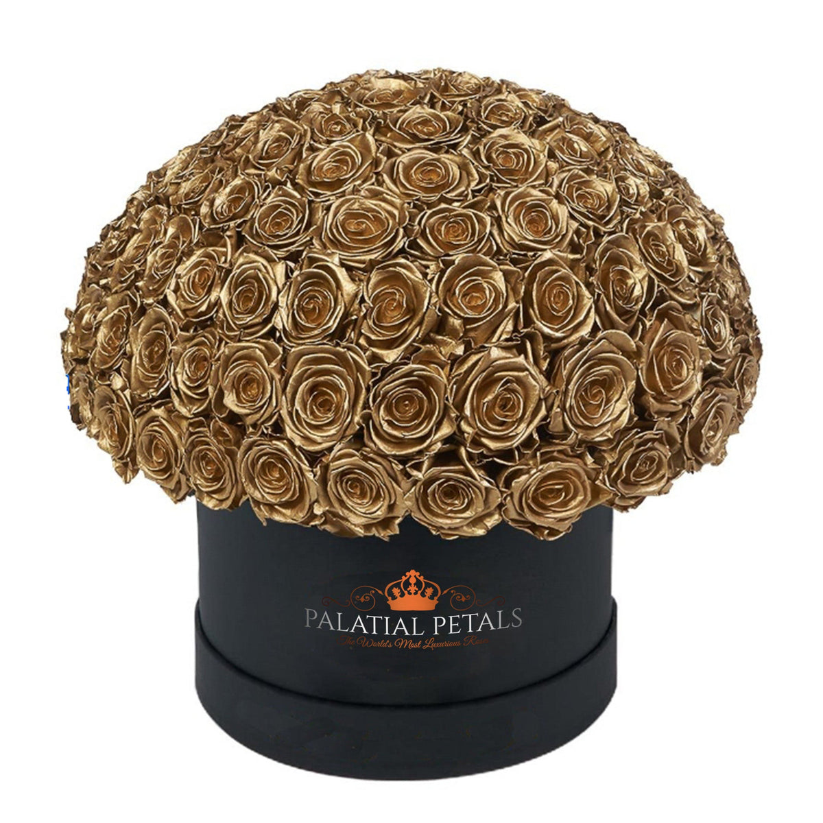 Large 24K Gold Preserved Roses in Dome Box