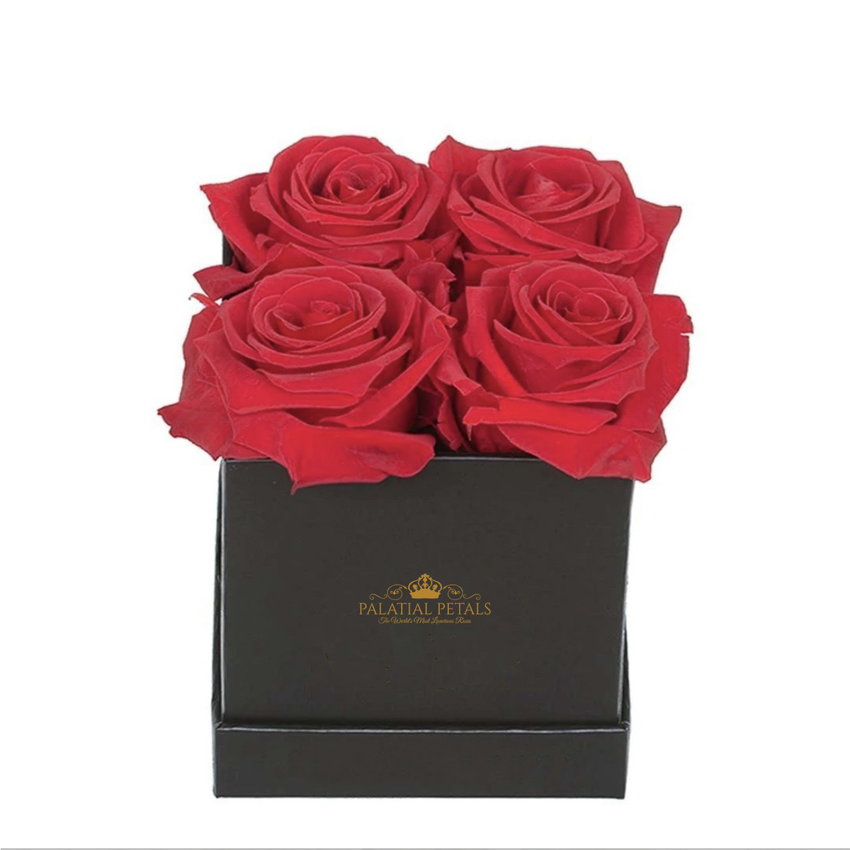 Grand Preserved Roses in Square Gift Box