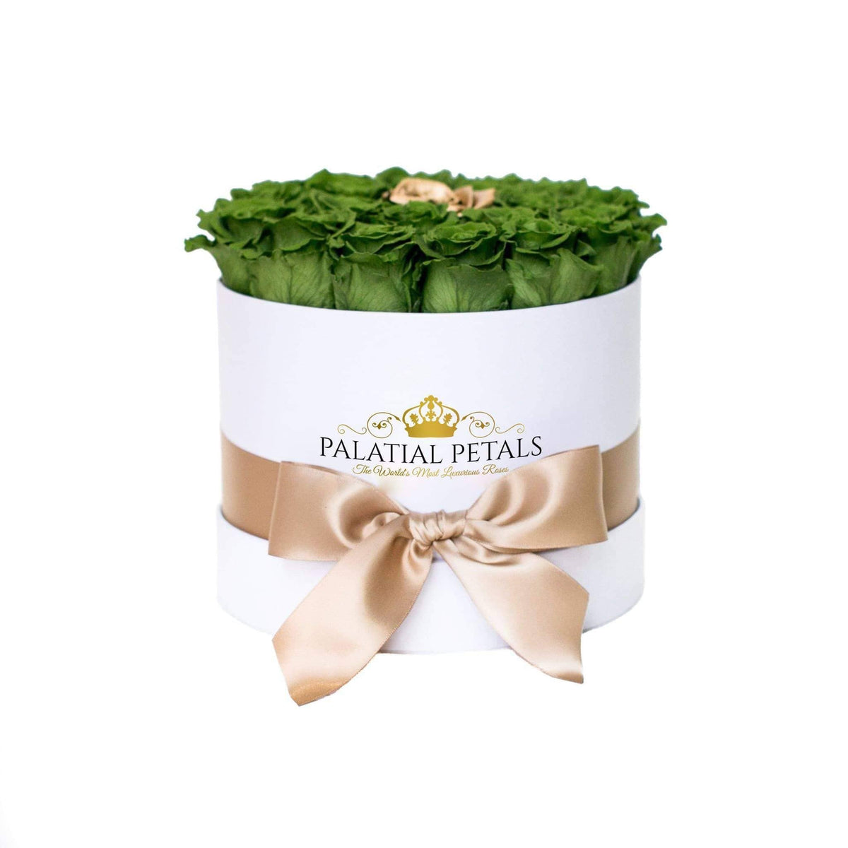 Emerald Green & 24K Gold Preserved Roses in Classic Round Gift Box
