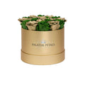 24K Gold & Emerald Green Preserved Roses in Round Gift Box