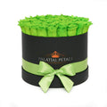 Large Lime Green Preserved Roses in Round Gift Box