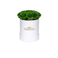 Mini Green Preserved Roses in Round Gift Box