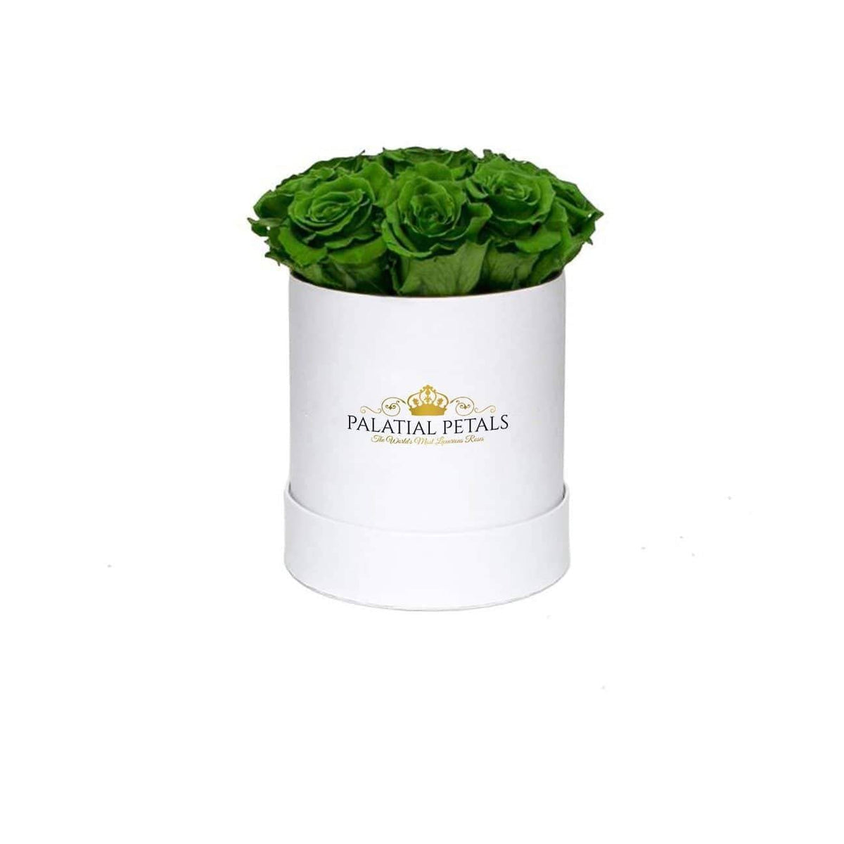 Mini Green Preserved Roses in Round Gift Box