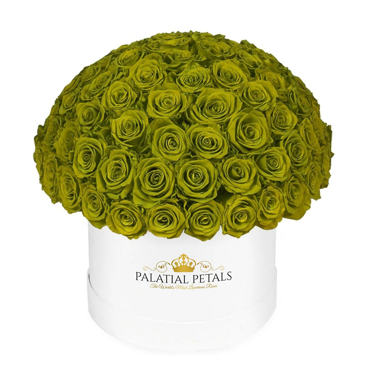 Large Emerald Green Preserved Roses in Dome Box