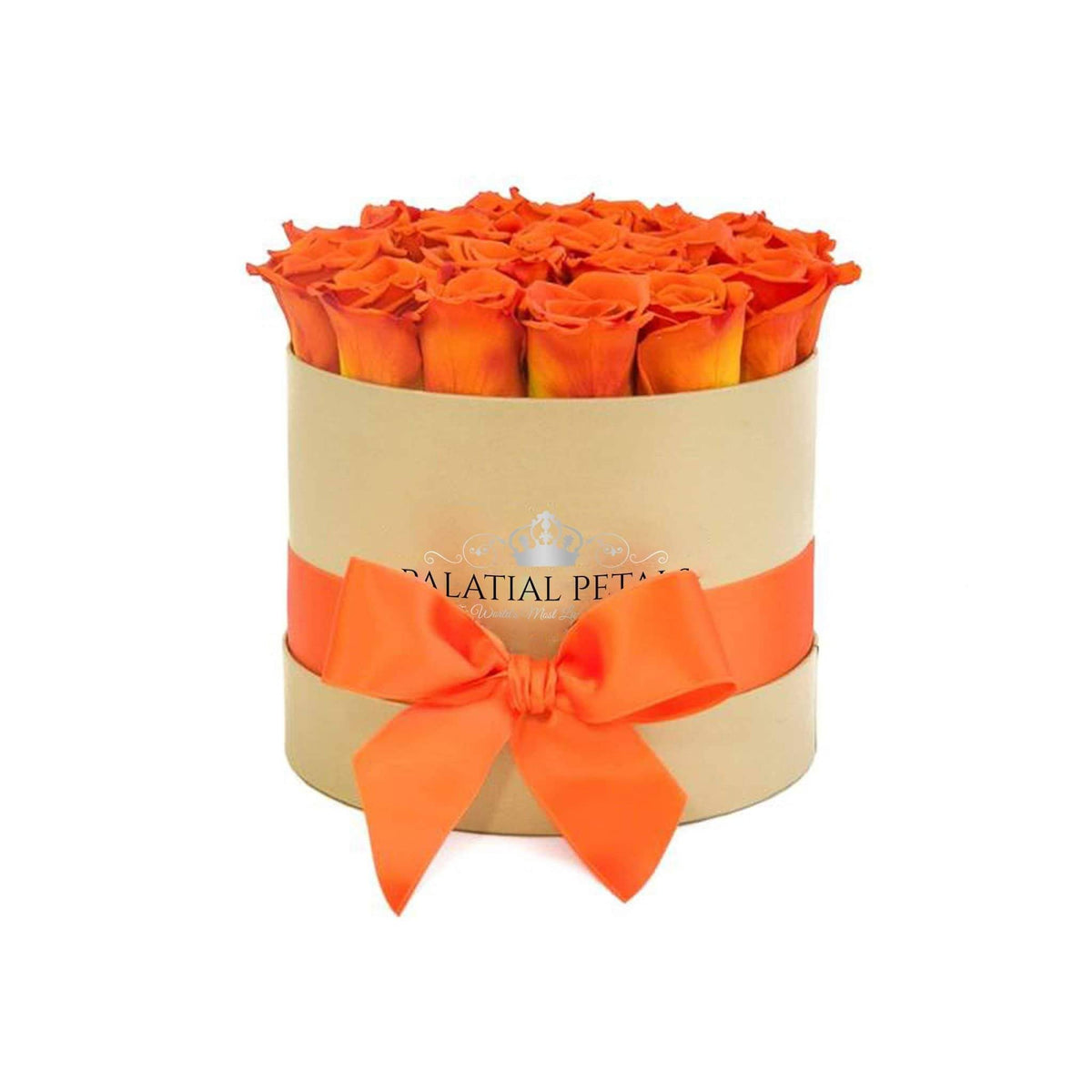 Orange Preserved Roses in Round Gift Box
