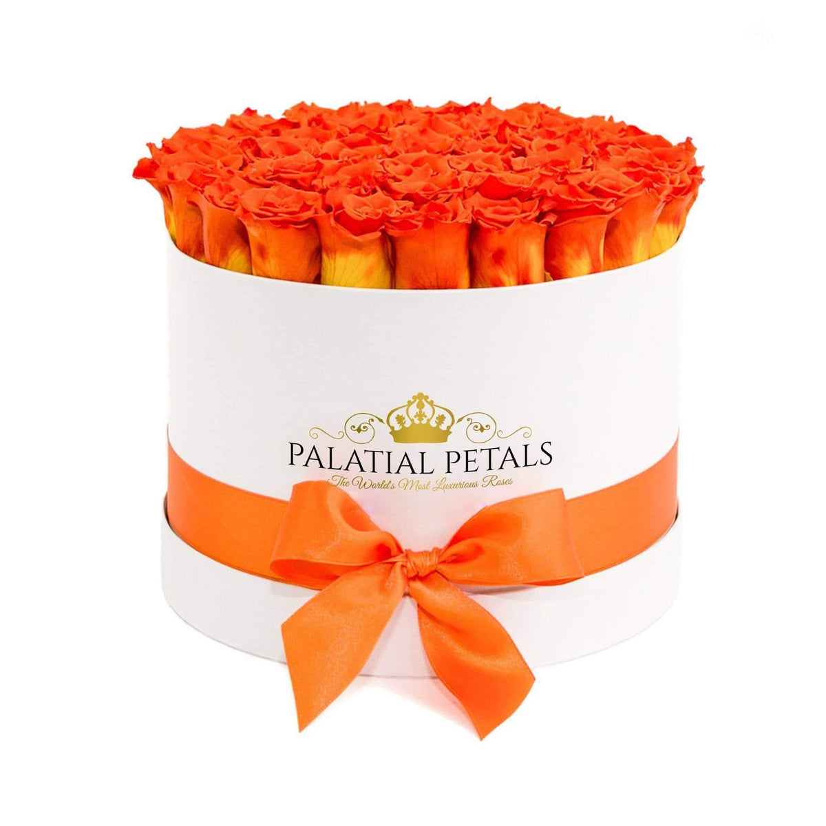 Large Orange Preserved Roses in Round Gift Box