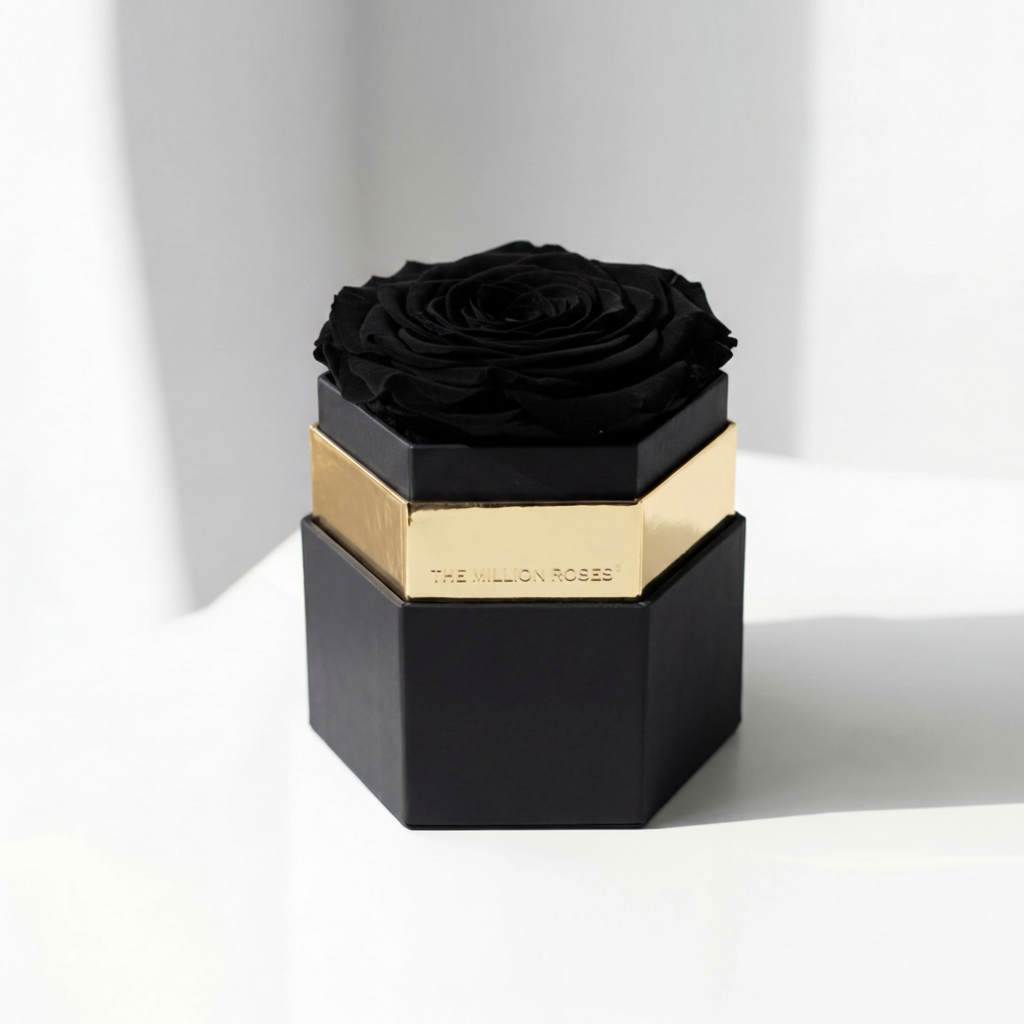 Single Black Preserved Rose in Hexagon Gift Box