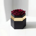 Single Burgundy Preserved Rose in Hexagon Gift Box