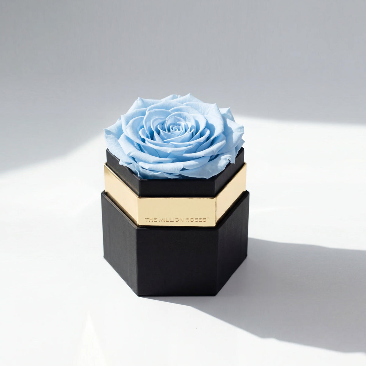 Single Light Blue Preserved Rose in Black Hexagon Gift Box