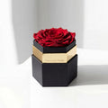 Single Red Preserved Rose in Hexagon Gift Box