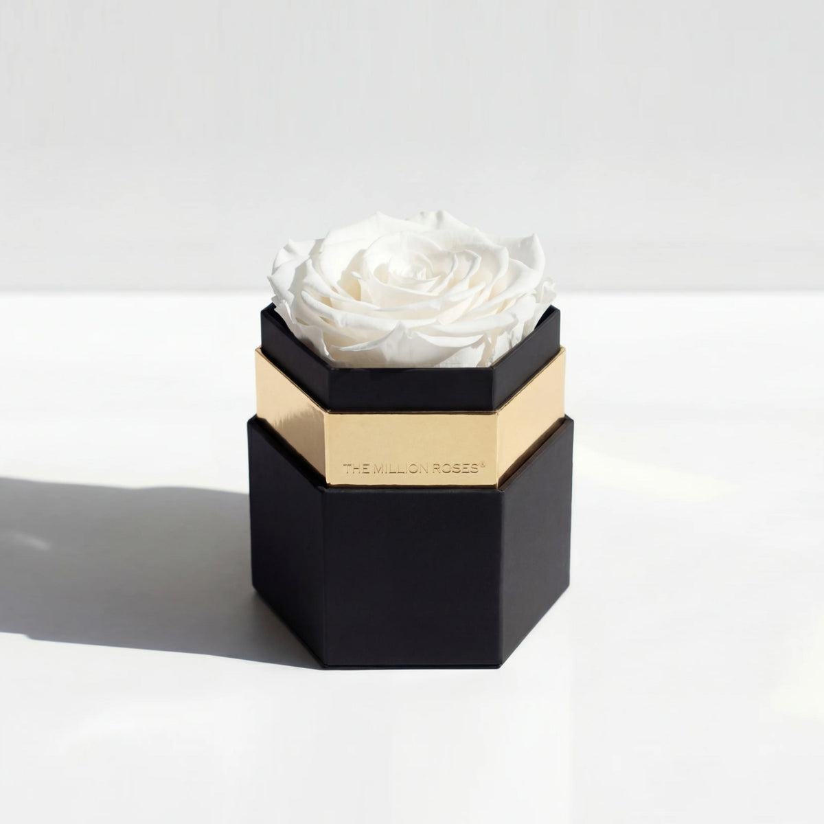 Single White Preserved Rose in Hexagon Gift Box