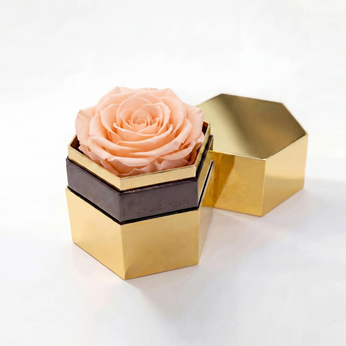 Single Peach Preserved Rose in Gold Mirror Hexagon Gift Box