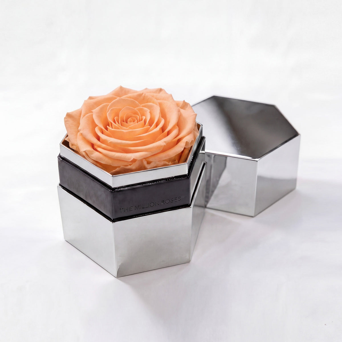 Single Peach Preserved Rose in Silver Mirror Hexagon Gift Box