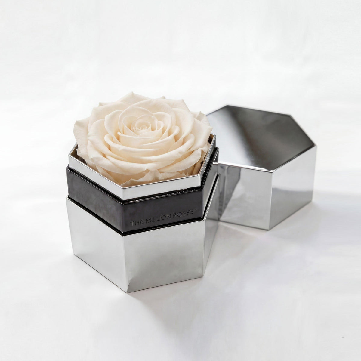 Single White Preserved Rose in Silver Mirror Hexagon Gift Box