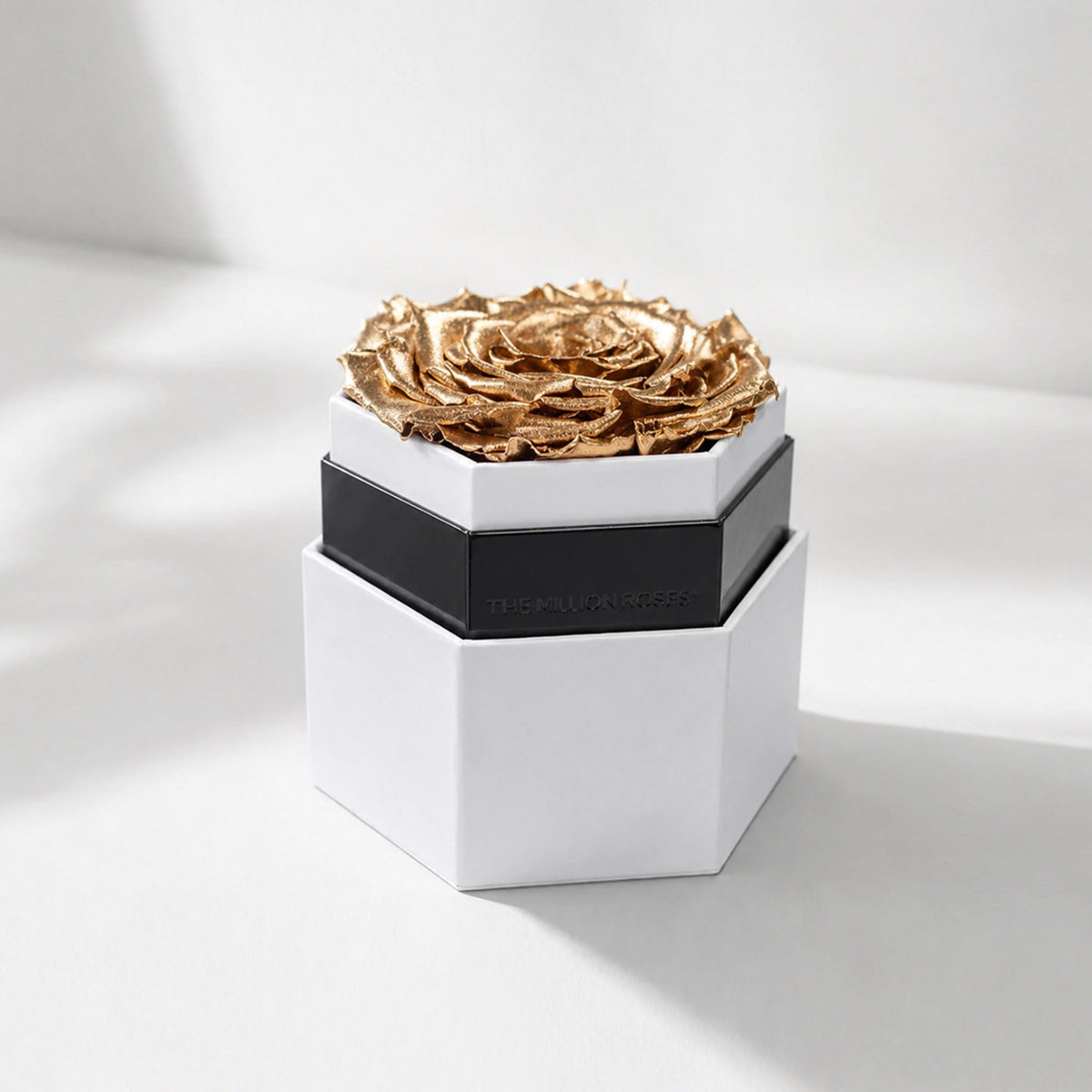 Single Gold Preserved Rose in White Hexagon Gift Box