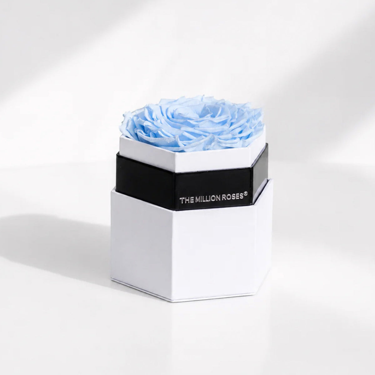 Single Blue Preserved Rose in White Hexagon Gift Box