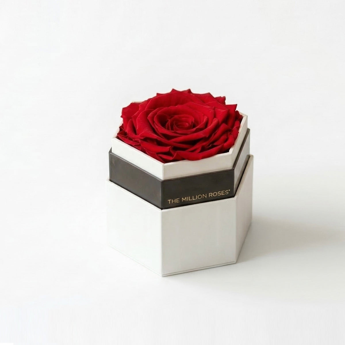 Single White & Red Preserved Rose in Hexagon Gift Box