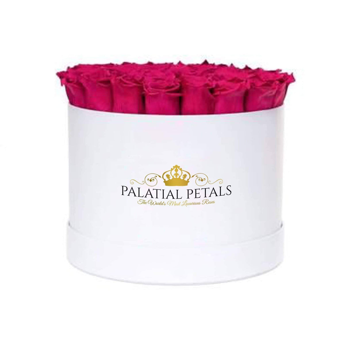Grand Hot Pink Preserved Roses in Round Gift Box