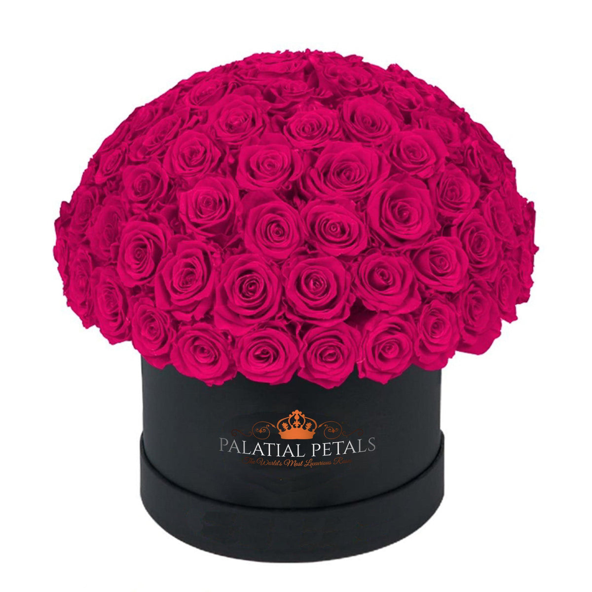 Large Hot Pink Preserved Roses in Dome Box