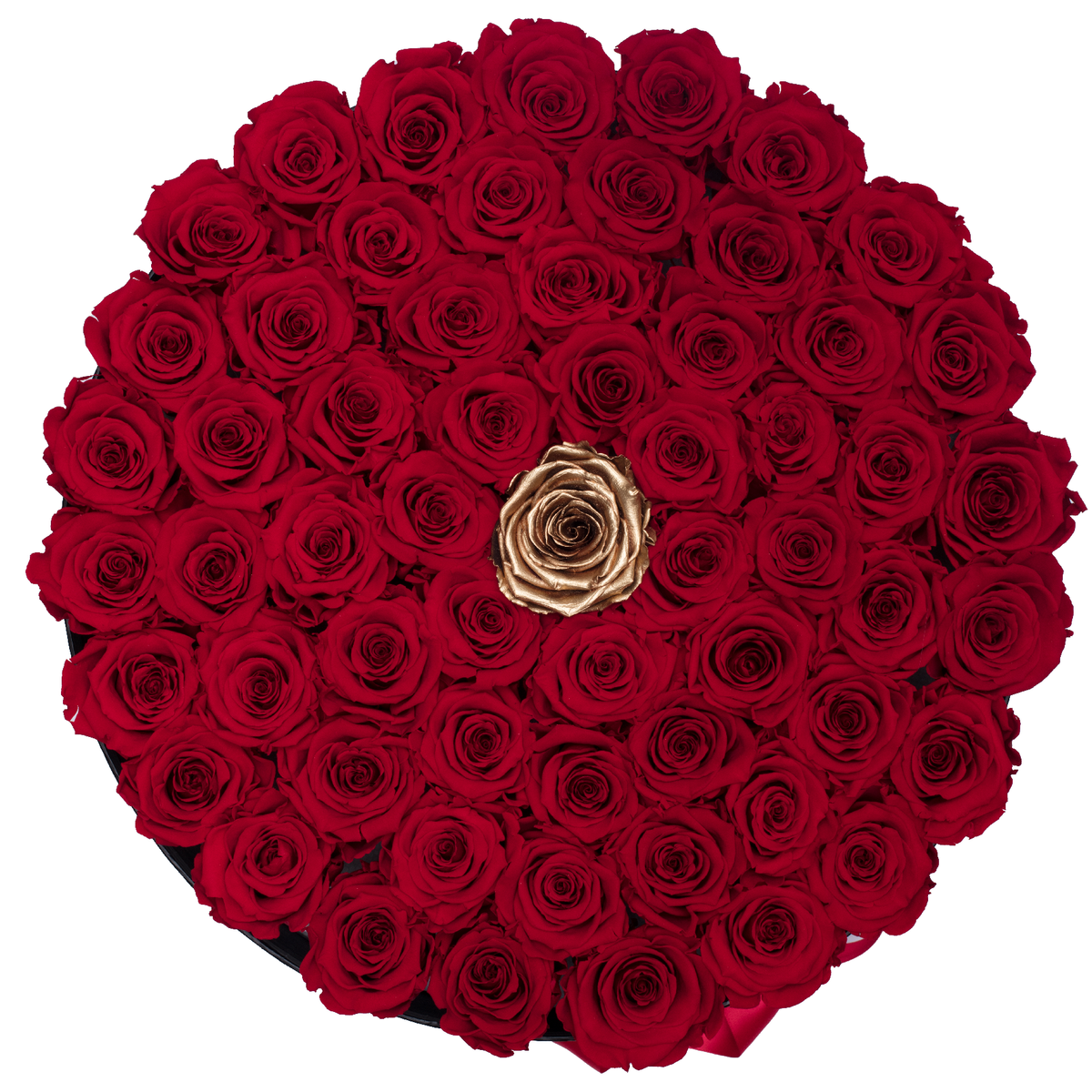 Preserved Roses in Round Gift Box