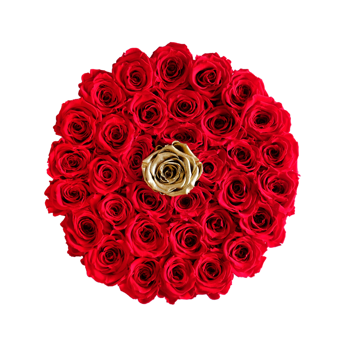 Large Preserved Roses in Round Gift Box