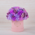 Lilac & Blush Preserved Hydrangeas in Round Gift Box