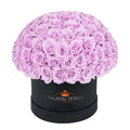 Large Lilac Preserved Roses in Dome Box