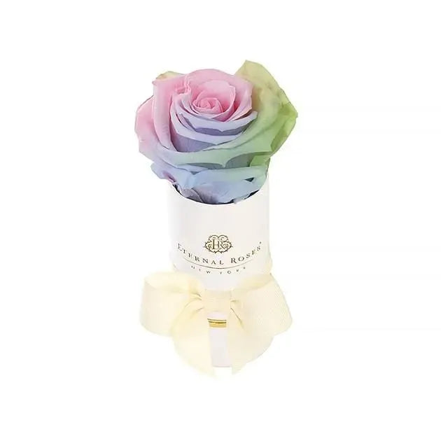 Single Aurora Preserved Rose in Round Gift Box