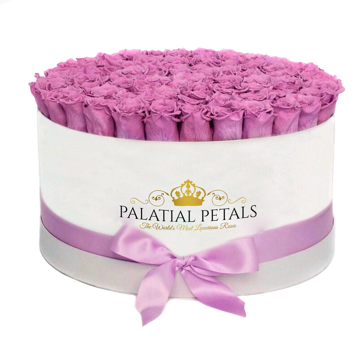Lilac Preserved Roses in Round Gift Box