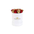 Mini Red & 24K Gold Preserved Roses in Petite Round Gift Box