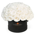 Princess White Preserved Roses in Medium Dome Box – Style 2