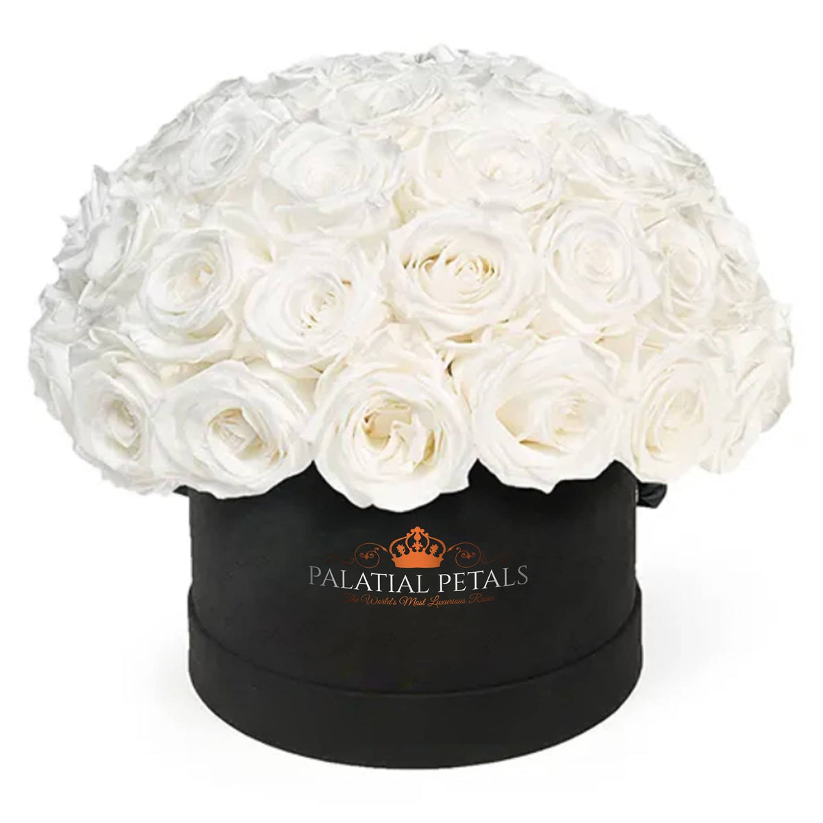 Princess White Preserved Roses in Medium Dome Box – Style 2