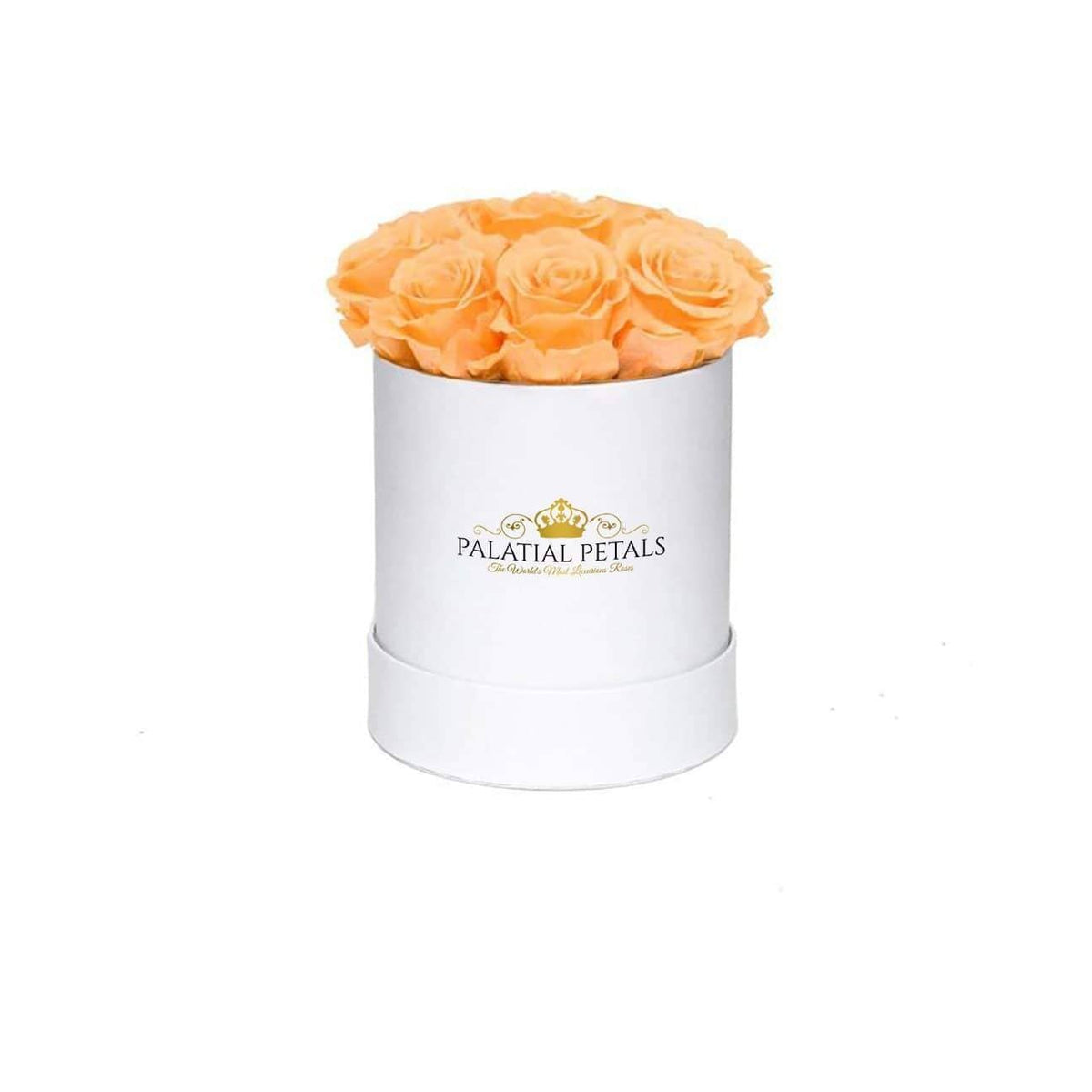 Mini Mimosa Preserved Roses in Petite Round Gift Box – Style 2