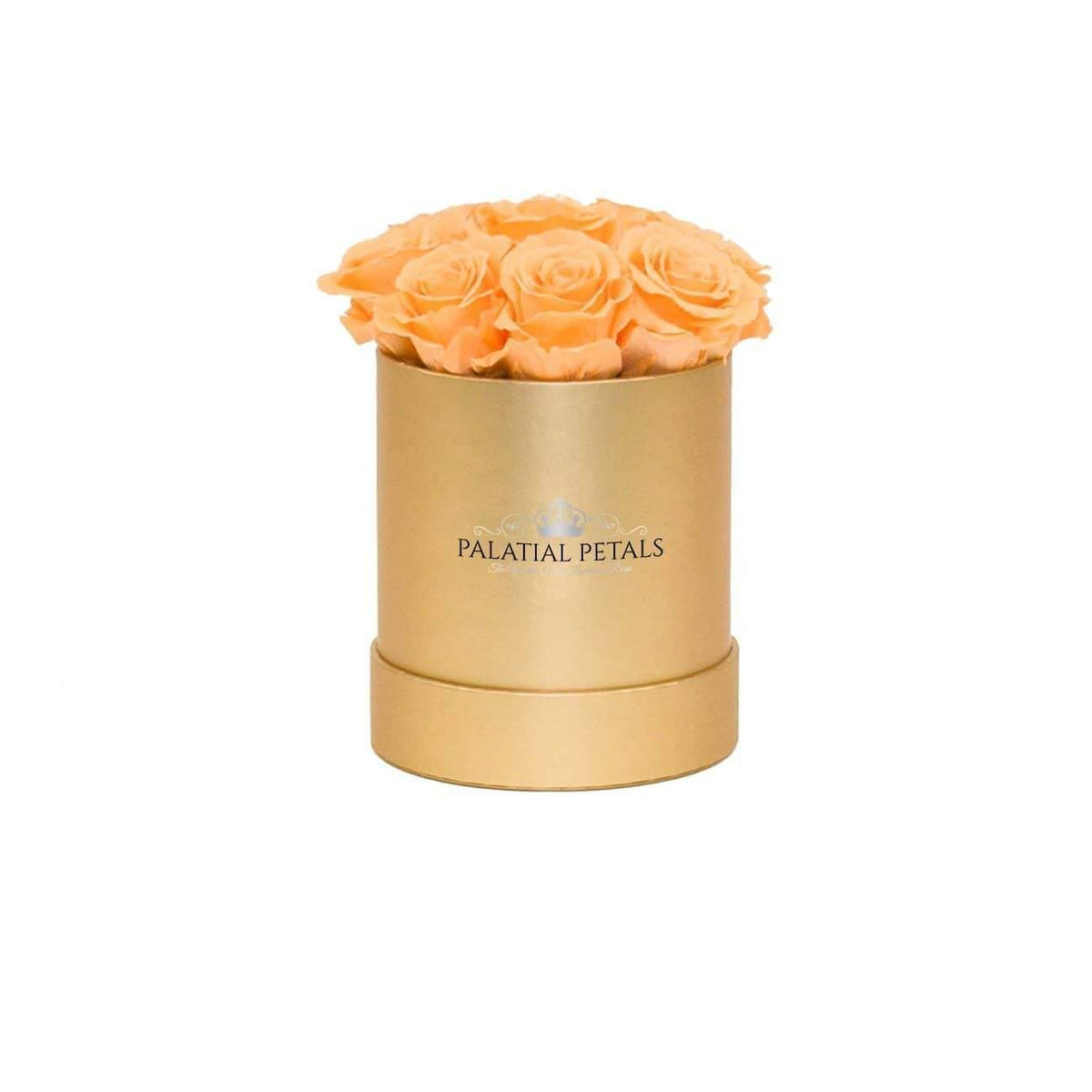 Mini Mimosa Preserved Roses in Petite Round Gift Box