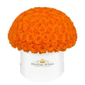 Large Orange Preserved Roses in Dome Box