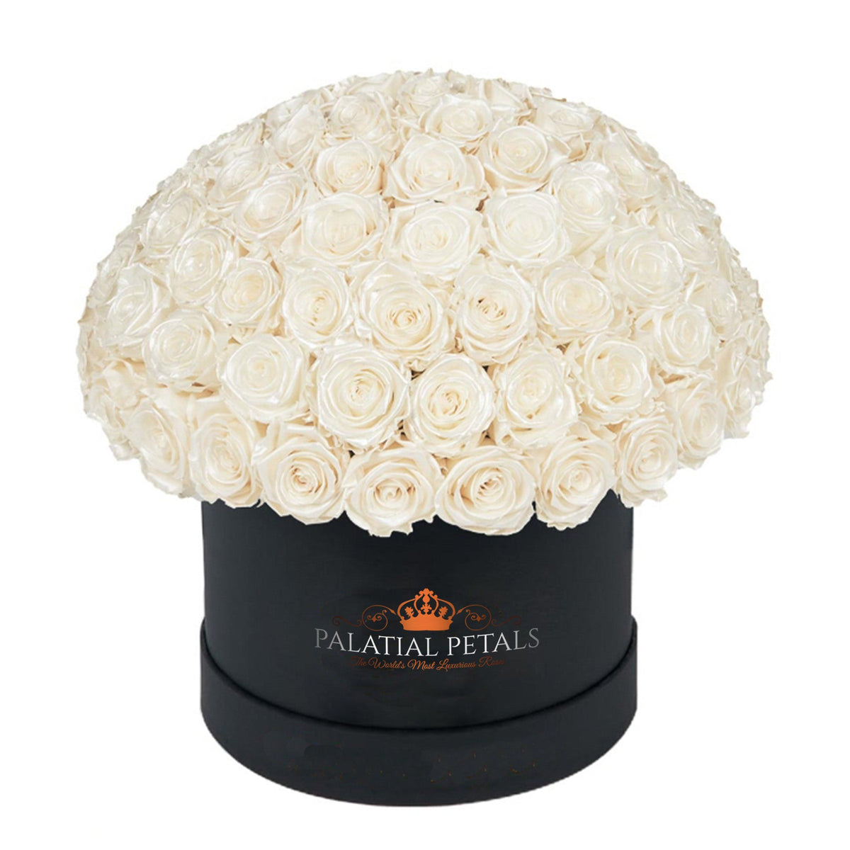 Large Pearl Preserved Roses in Dome Box