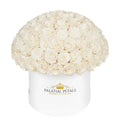 Large Pearl Preserved Roses in Dome Box – Style 2