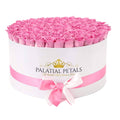 Candy Pink Preserved Roses in Deluxe Round Gift Box