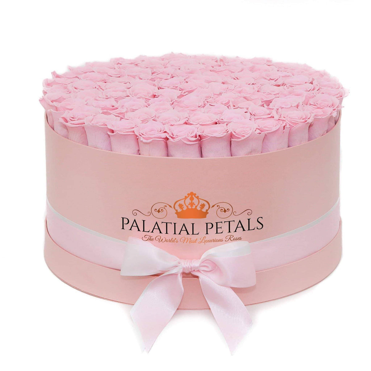 Bridal Pink Preserved Roses in Deluxe Round Gift Box