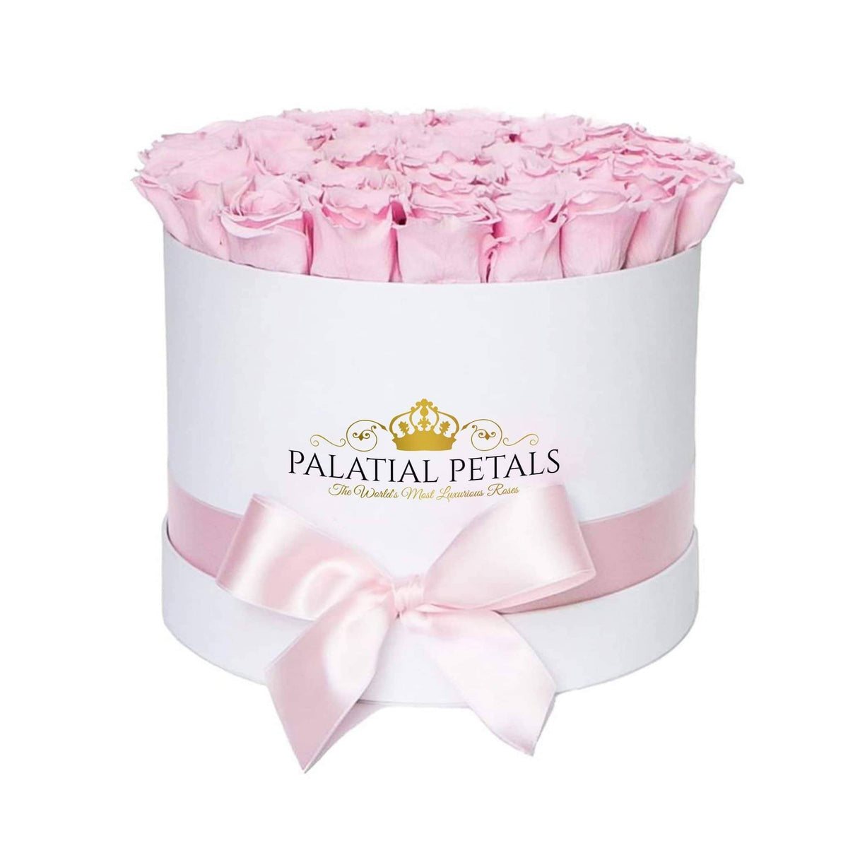 Large Bridal Pink Preserved Roses in Round Gift Box