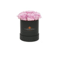 Mini Bridal Pink Preserved Roses in Petite Round Gift Box