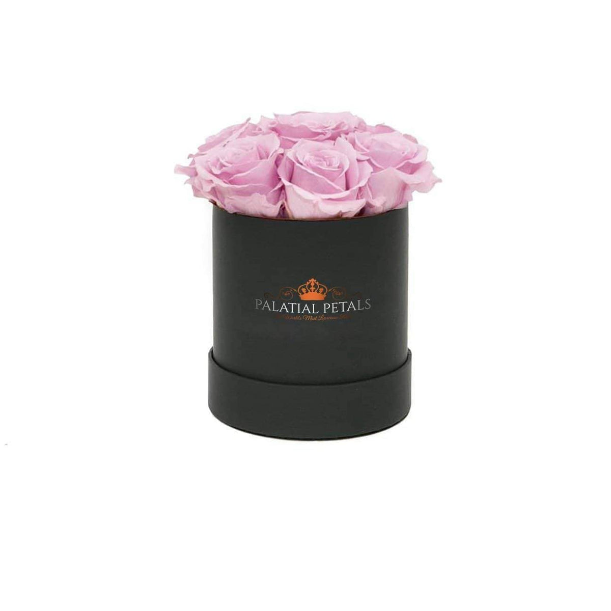 Mini Bridal Pink Preserved Roses in Petite Round Gift Box