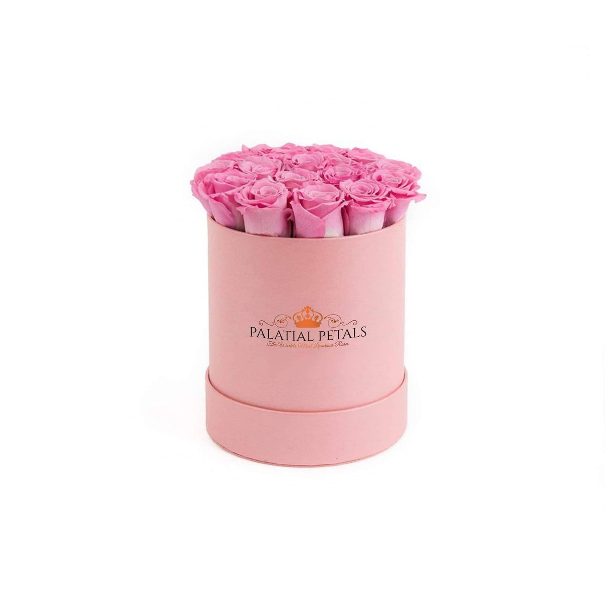 Mini Candy Pink Preserved Roses in Petite Round Gift Box