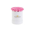 Mini Candy Pink Preserved Roses in Petite Round Gift Box – Style 2