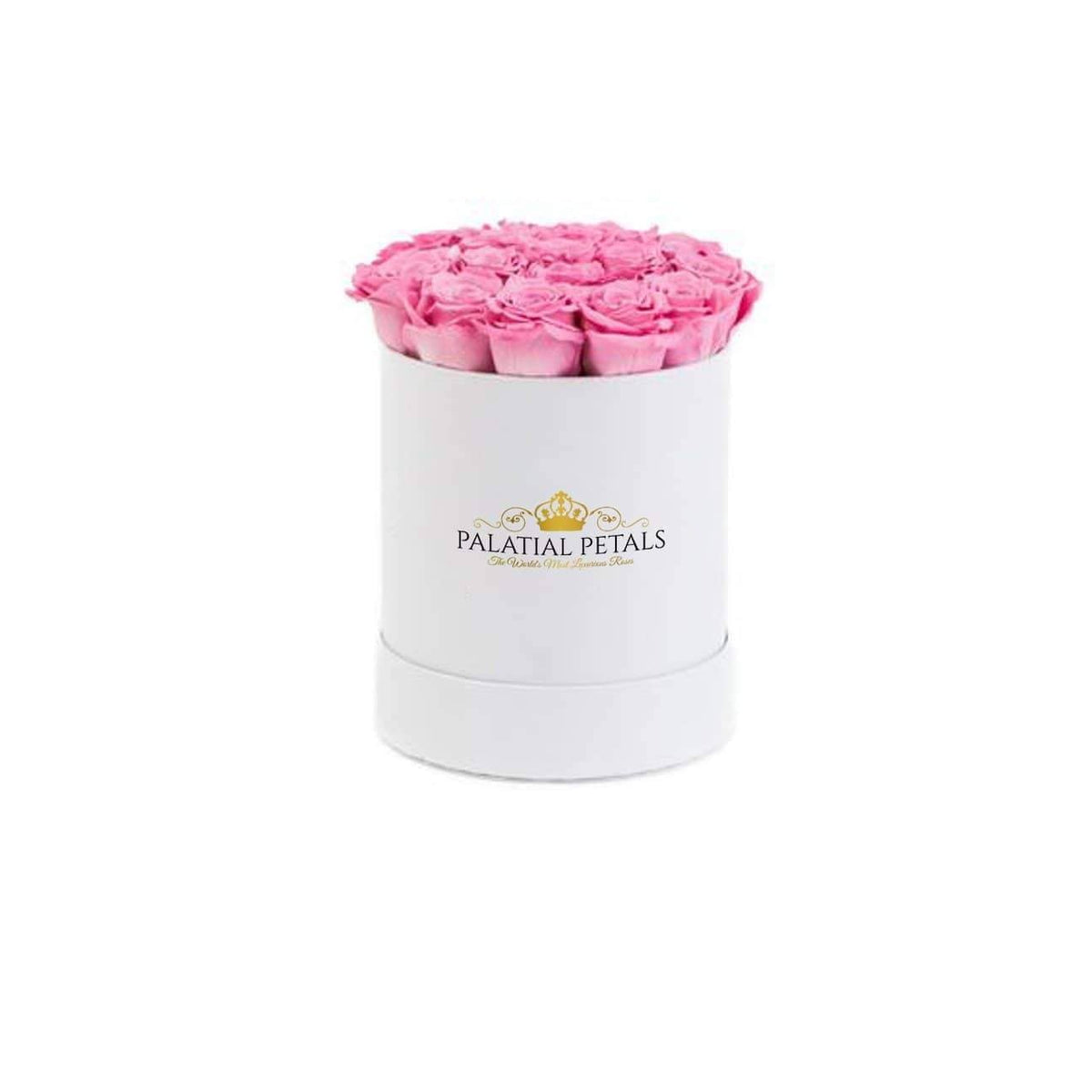 Mini Candy Pink Preserved Roses in Petite Round Gift Box – Style 2