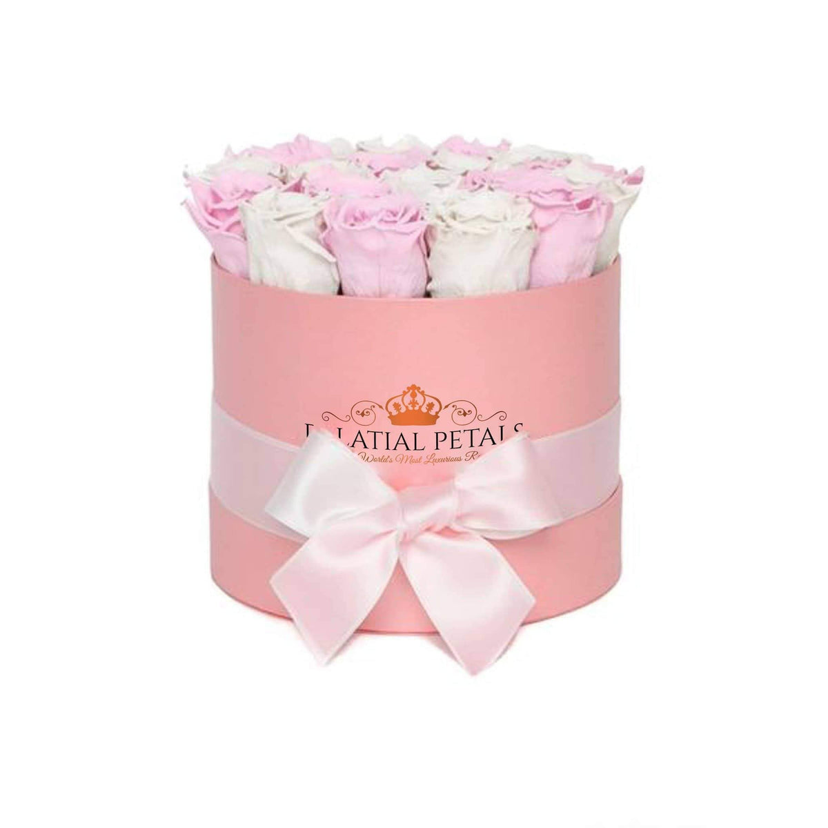 Bridal Pink & Snow White Preserved Roses in Classic Round Gift Box