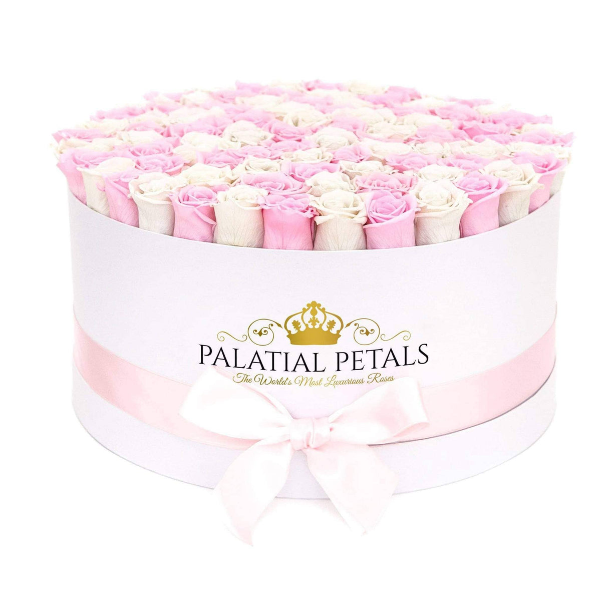 Bridal Pink & Snow White Preserved Roses in Deluxe Round Gift Box